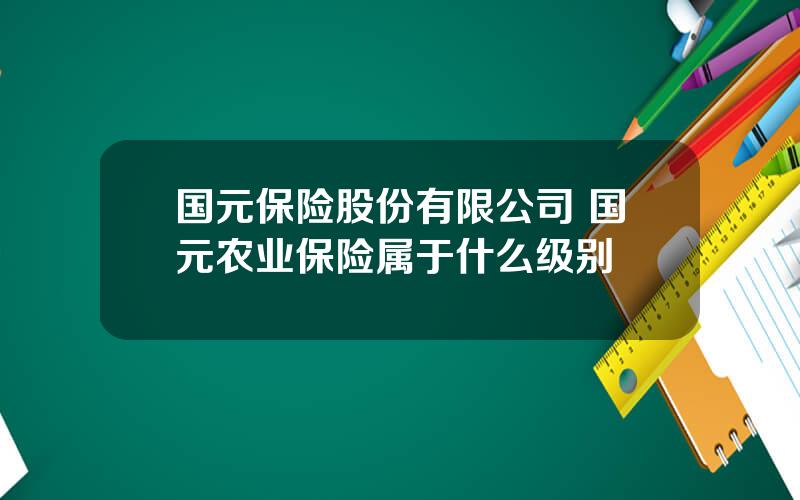 国元保险股份有限公司 国元农业保险属于什么级别